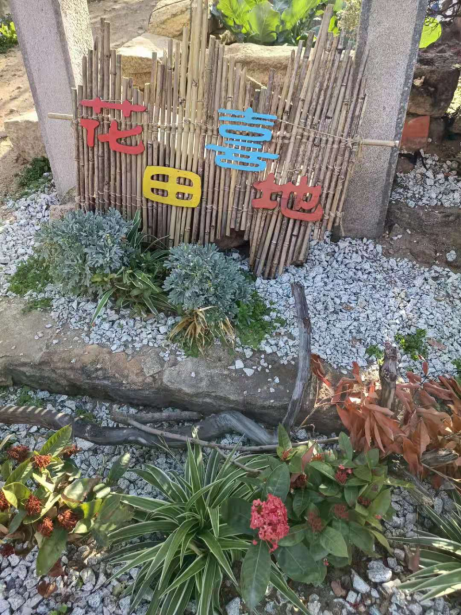1618818120856178.png