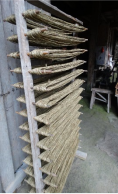 第20篇-终-1120同安村-当中厝36-1616.png