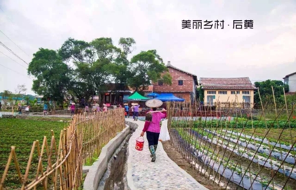 采摘园