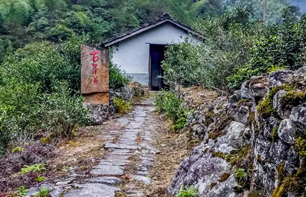 古茶道
